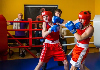 Укрепляйте тело и дух на занятиях боксом в «Магис Спорт»