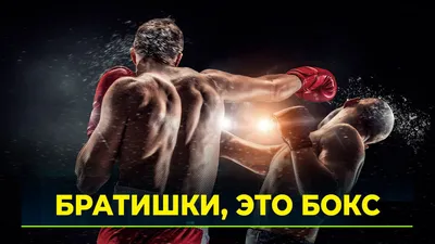 Бокс Qbrick System PRO Toolbox Red Ultra HD - купить в Баку. Цена, обзор,  отзывы, продажа