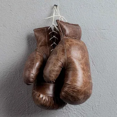 Кожаные боксёрские перчатки Sport Boxing Gloves Pair, Vintage Cigar,  Timothy Oulton | Home Concept