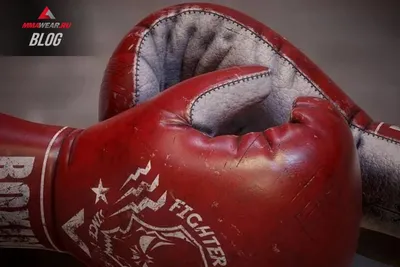 Боксерские перчатки PREMIUM FILIPPOV — FILIPPOV DYNASTY ® | Купить на  официальном сайте
