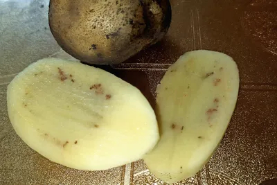 Болезни картофеля : Potatos инфицированных чипом Zebras. Стоковое  Изображение - изображение насчитывающей темно, медицинско: 208731157