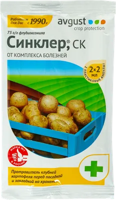 Новый препарат для защиты картофеля от болезней создали в России