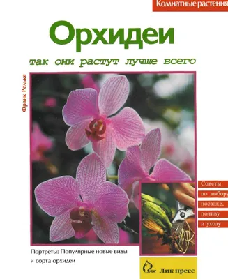 Орхидеи: истории из жизни, советы, новости, юмор и картинки — Лучшее,  страница 14 | Пикабу