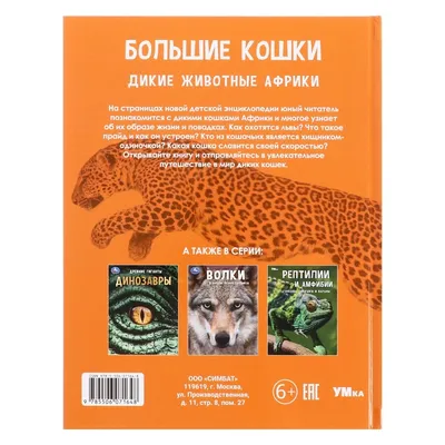 Монета Абхазия 5 апсаров 2021 год \"Большие кошки: Леопард, Лесной кот,  Рысь\" в футляре с сертификатом стоимостью 35717 руб.