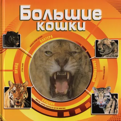 Большие кошки. купить оптом в Екатеринбурге от 253 руб. Люмна