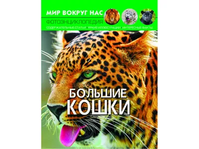 Картина по номерам Большие кошки, 40х50 см Strateg - SY6184 купить в  Украине - artstreet.com.ua