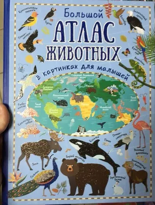 Книга Большой атлас животных в картинках для малышей купить по выгодной  цене в Минске, доставка почтой по Беларуси