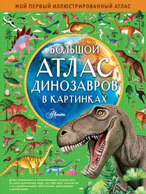 Книга МАХАОН Большой атлас мира в картинках. Хорошая книжка для  любознательных детей купить по цене 806 ₽ в интернет-магазине Детский мир