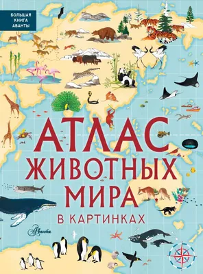 Большой атлас животных в картинках — купить книги на русском языке в  DomKnigi в Европе