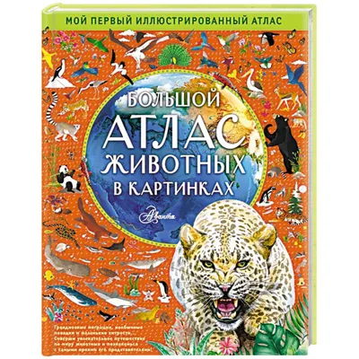 Иллюстрация 3 из 46 для Большой атлас животных в картинках для малышей -  Юлия Дорошенко | Лабиринт -