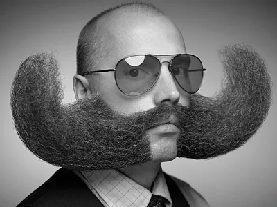Виды бород которые должен попробовать каждый мужчина | Барбершоп «Kontora»  Екатеринбург