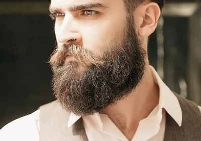 Модные бороды у мужчин: виды с фото и названиями