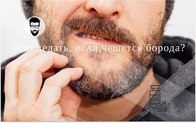Как отрастить бороду в домашних условиях: быстро и правильно - IdHair