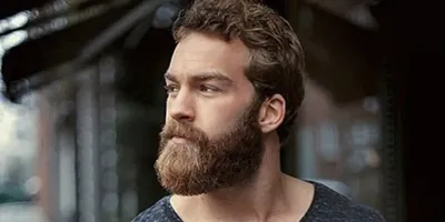 Борода как у викинга - главный тренд сезона | Новини