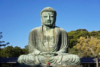 Будда Шакьямуни (Капилавасту Сиддхартха) - от принца до создателя  религиозного течения | TUSOVKA | Дзен