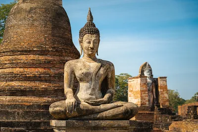 Будда в медитации, статуэтка из дерева суар, высота 30см