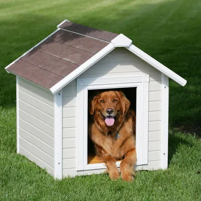 Обогрев будки для собаки | Отопление дома