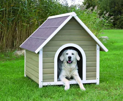 Какого размера должна быть будка у собаки? - Homewoods