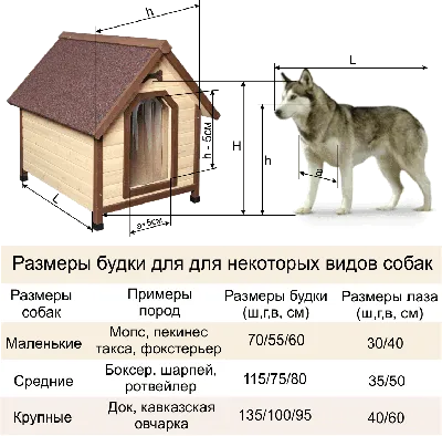Будка для собаки: чертежи и размеры, этапы сборки, утепление. Интересные  идеи