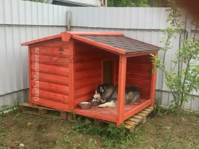 Утепленная будка для собаки \"Барни\" фото и цены