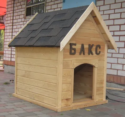 Как построить зимнюю будку для собаки своими руками