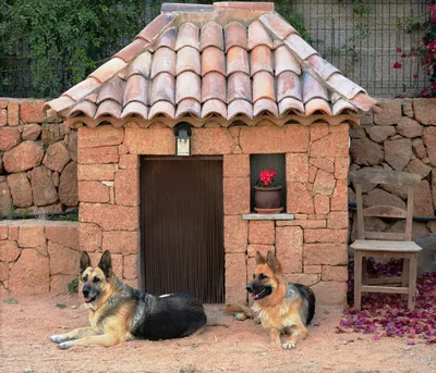 Красивая будка для собаки: изготовление своими руками, фото дизайнов,  проект и процесс строительства