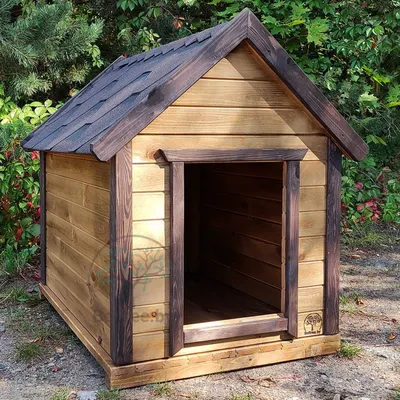 Зимняя будка для собаки \"Харви\" купить в Киеве - Woodom