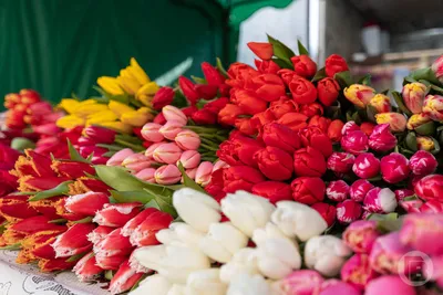 букет к 8 марта с розами, гиацинтами и тюльпанами купить на павелецкой  недорого