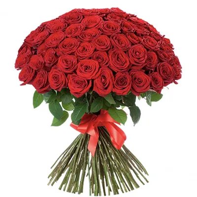 Букет красных роз, красные розы, букет из роз, букет алых роз