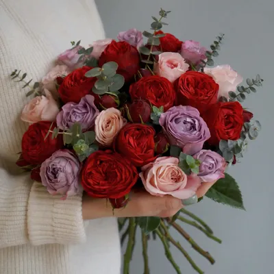 Купить Большой букет Красных роз, в магазине Букет-СПб - Доставка цветов в  Санкт-Петербурге недорого | Заказать букет с доставкой в Букет-Питер