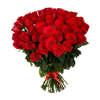 Букет красных роз 80 см 301 шт. купить с доставкой в Москве. Цена от 54180 ₽