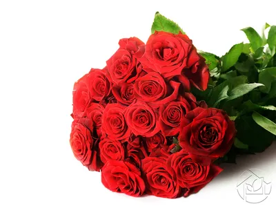 Купить «Букет красных роз «Ночь любви»» с доставкой в Тольятти - «Lady  fleur 63»
