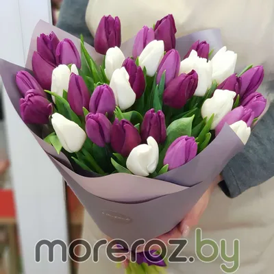 Букет тюльпанов 101 шт. в коробке розового цвета • Доставка букетов в  Санкт-Петербурге