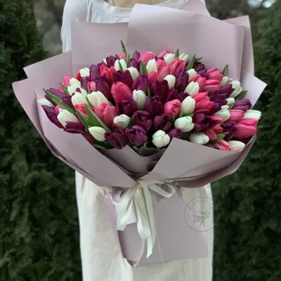 Нежный букет из 29 тюльпанов - Городские цветы