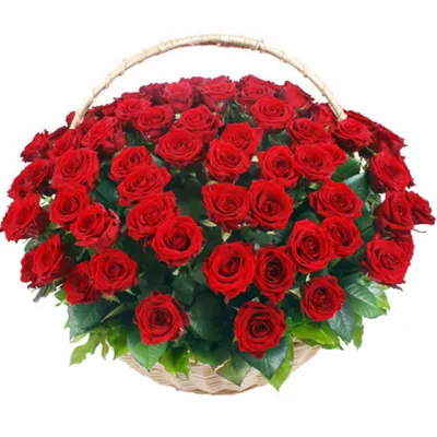 Букет «С днём рождения» из роз - заказать и купить за 3 900 ₽ с доставкой в  Ставрополе - партнер «Салон Цветов « Роза»»