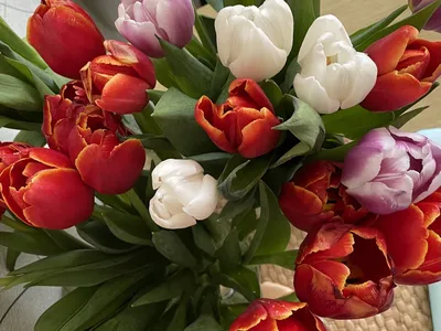 Купить цветы на 8 марта недорого в Москве - заказать букет на 8 марта с  доставкой