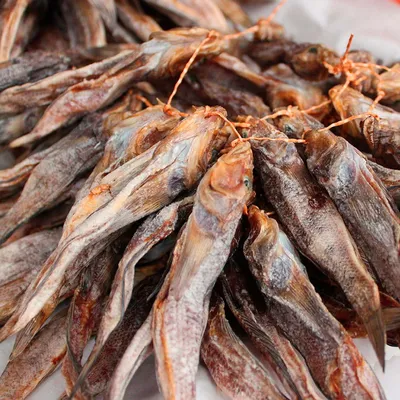 Вяленый бычок Кнут - Fishop - магазин рыбы и морепродуктов