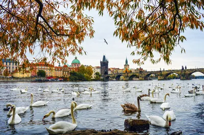 Чехия в марте фото фотографии