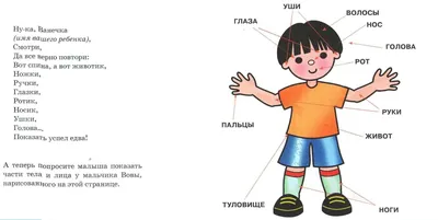 Деревянный фигурный пазл-головоломка KoroBoom \"Строение тела человека\",  анатомия для детей, 90 уникальных деталей мозаики - купить с доставкой по  выгодным ценам в интернет-магазине OZON (289857559)