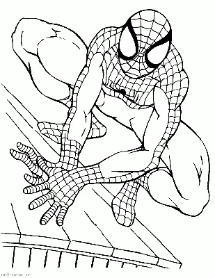 Раскраска супергероя Человека-Паука - Раскраскина