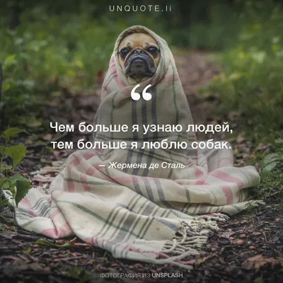 Чем больше узнаю людей, Тем больше... - Удивительная природа | Facebook