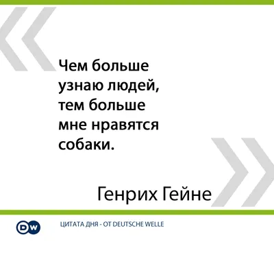 Картинка - ЧЕМ БОЛЬШЕ УЗНАЕШЬ ЛЮДЕЙ тем больше любишь собак.