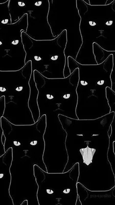 Чёрная кошка иллюстрация штока. иллюстрации насчитывающей темно - 161335057
