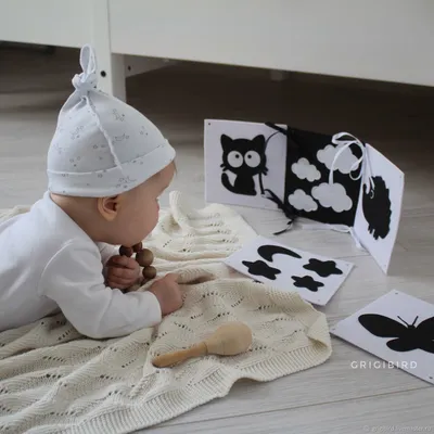 Черно-белые картинки для малышей Первые предметы Феникс-Премьер — купить в  интернет-магазине www.SmartyToys.ru