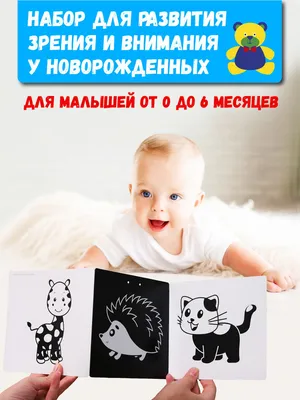 Развивающие черно-белые карточки для новорожденных \"Животные\", 62 картинки  купить по цене 260 ₽ в интернет-магазине KazanExpress