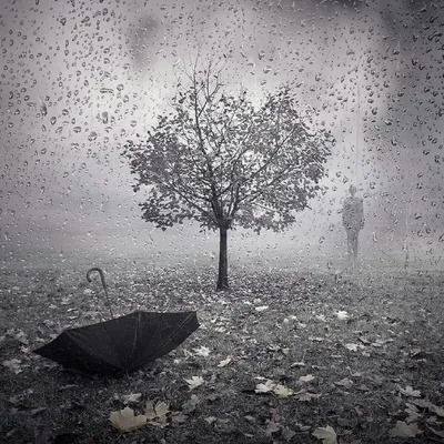 Смотрю на дождь.... Фотограф Володин Владимир Владимирович
