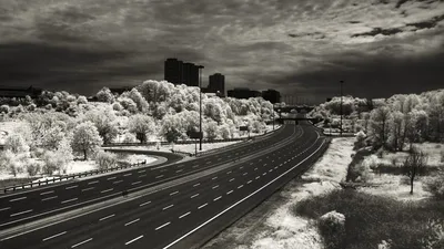 Фотообои Черно белый город для стен, бесшовные, фото и цены, купить в  Интернет-магазине