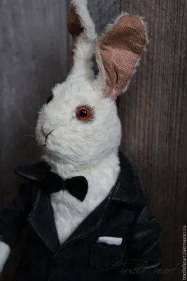 Кролик черно белый - 74 фото