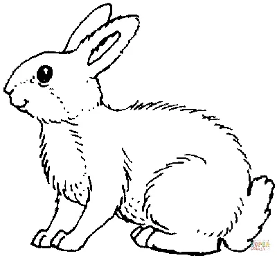 Тарелка 'Черно-белый кролик' 24 см - купить с доставкой в интернет-магазине  О'КЕЙ в Сочи