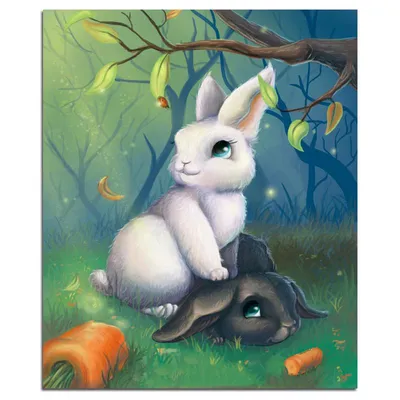картинки : черное и белое, Дикая природа, Домашнее животное, Млекопитающее,  Фауна, черно-белый, Бакенбарды, Животные, Позвоночный, Домашний кролик,  Рабы и зайцы, Кролик-кролик 4000x3000 - - 1130395 - красивые картинки -  PxHere